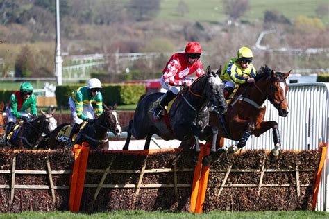 cheltenham betting tips|Cheltenham Festival day 4 tips: five horses to back on Friday.
